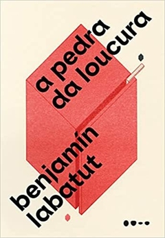 A PEDRA DA LOUCURA - Benjamín Labatut