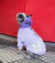 Buzo Showy Lila en internet