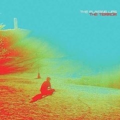 The Flaming Lips: The Terror - CD