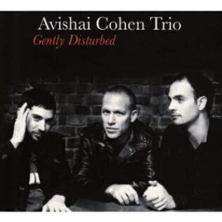Avishai Cohen Trio: Gently Disturbed - CD