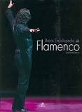 Breve Enciclopedia del Flamenco - José María Estebán - Libro