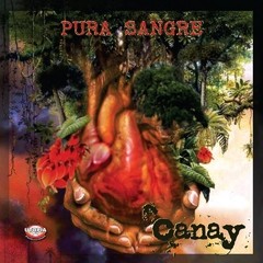 Pura sangre - Canay - CD