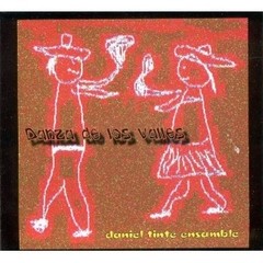 Daniel Tinte Ensamble - Danza de los valles - CD