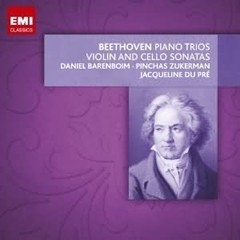 Jacqueline du Pré / Daniel Barenboim / Pinchas Zukerman - Beethoven - Piano Trios - Violin and Cello Sonatas - 9 CDs