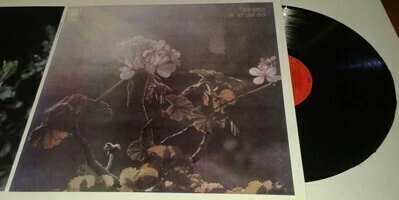 Luis Alberto Spinetta - A 18" del sol (Vinilo)