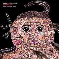 Darius Jones Trio - Man'ish Boy (A Raw & Beautiful Thing) - CD