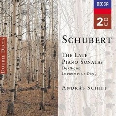 András Schiff - Schubert: The Late Piano Sonatas D958-960 / Impromtus D899 (2 CDs)