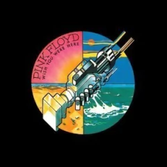 Pink Floyd: Wish You Were Here - Experience Edition (2 CDs) -Remastered