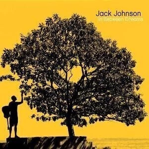 Jack Johnson - In Between Dreams - CD