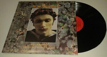 Invisible - El jardín de los presentes (Vinilo)