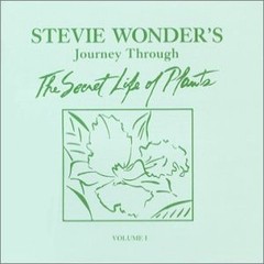 Steve Wonder´s: The secret Life of Plants (2 CDs)