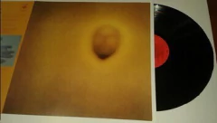 Invisible - Durazno sangrando (Vinilo)