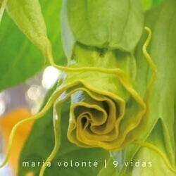 María Volonté - 9 vidas - CD - comprar online
