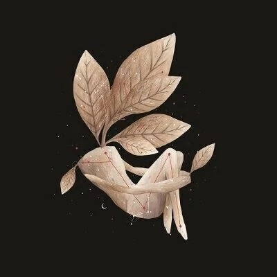 Lisandro Aristimuño - Constelaciones - CD