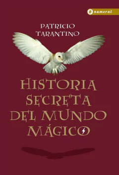 Historia secreta del mundo mágico - Los archivos de Harry Potter - Libro