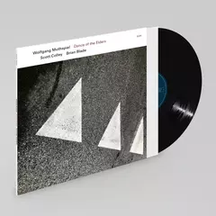Wolfgang Muthspiel - Dance Of The Elders - Scott Colley / Brian Blade - Vinilo