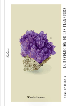 La revolución de las flâneuses - Anna Maria Iglesia - Libro