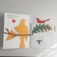 Historias de tres pajaritos - Bruno Munari - Libro - buy online