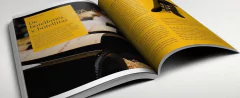 Los buenos vinos argentinos 2017 - Elisabeth Checa - Libro on internet