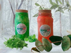 Kit Mamx Brujil - buy online