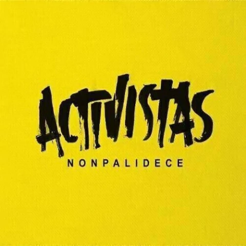 NonPalidece: Activistas - CD