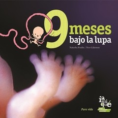 9 meses bajo la lupa -