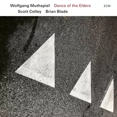 Wolfgang Muthspiel - Dance Of The Elders - Scott Colley / Brian Blade - CD
