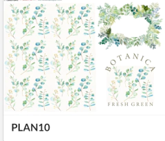 PLAN10