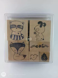 Set Bosque Caja Grande
