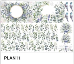 PLAN11