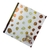 CARPETA 3X40 REXON BORN TO SHINE en internet