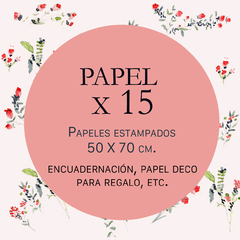 15 papeles 50 x 70 cm.
