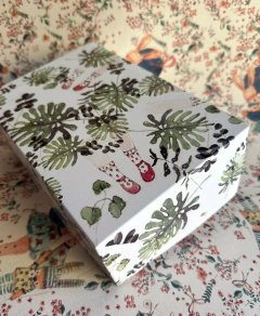 CAJA JUNTO PASEOS
