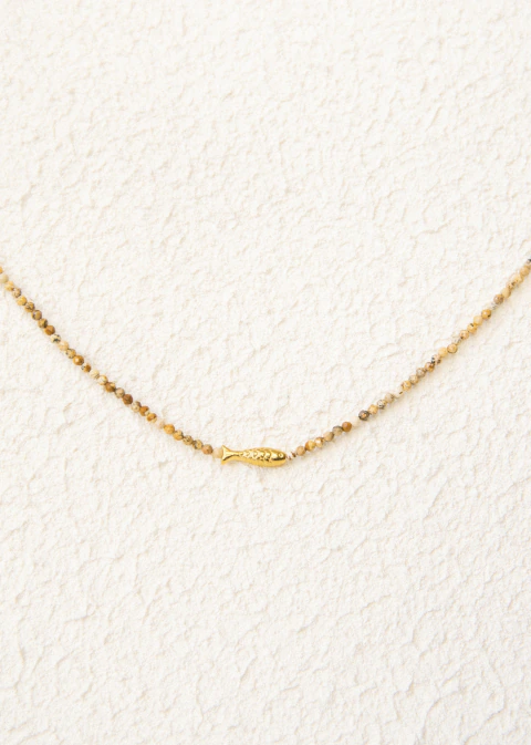Collar jaspe fish