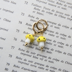 Aros fungi en internet