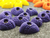 CUSCO - comprar online