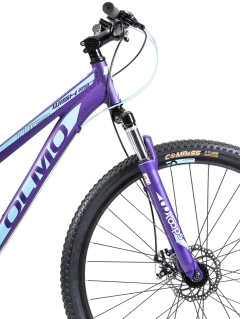 Bicicleta Olmo Wish 295 Dama 21v Rodado 29 en internet