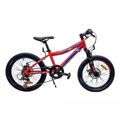 Bicicleta Raleigh Rowdy Rodado 20 en internet