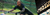 Banner de Reusch Exclusivo | #1 Precio de Guantes en Argentina | 
