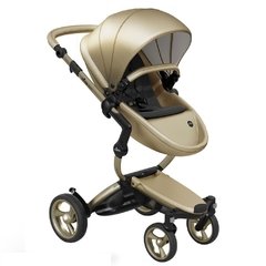 Mima xari (chassis champagne)