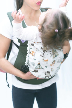Mochila estándar verde con carpitas en internet