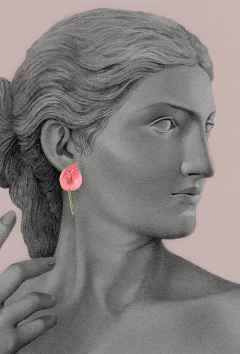 Aretes Anturios blancos en internet