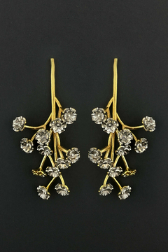Aretes gypsophilas