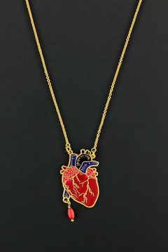 Collar anatomía corazón