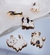 Pingente Pet Esmaltado - Poodle - comprar online