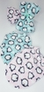 Cobertor Soft Pata Chic - Pinguim Verde - Pequeno Chic Boutique Pet