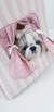 Casinha Pata Chic - Linn Rose - loja online