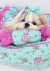 Laço Pata Chic - Tiffany Blend - loja online