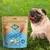 Bifinho Natural Para Cães Shape 300G - Nats na internet