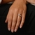 Anillo Equino en internet